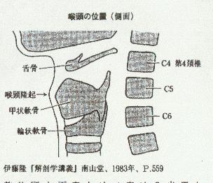 ������O�������Ƃ��̌z�ł̏��