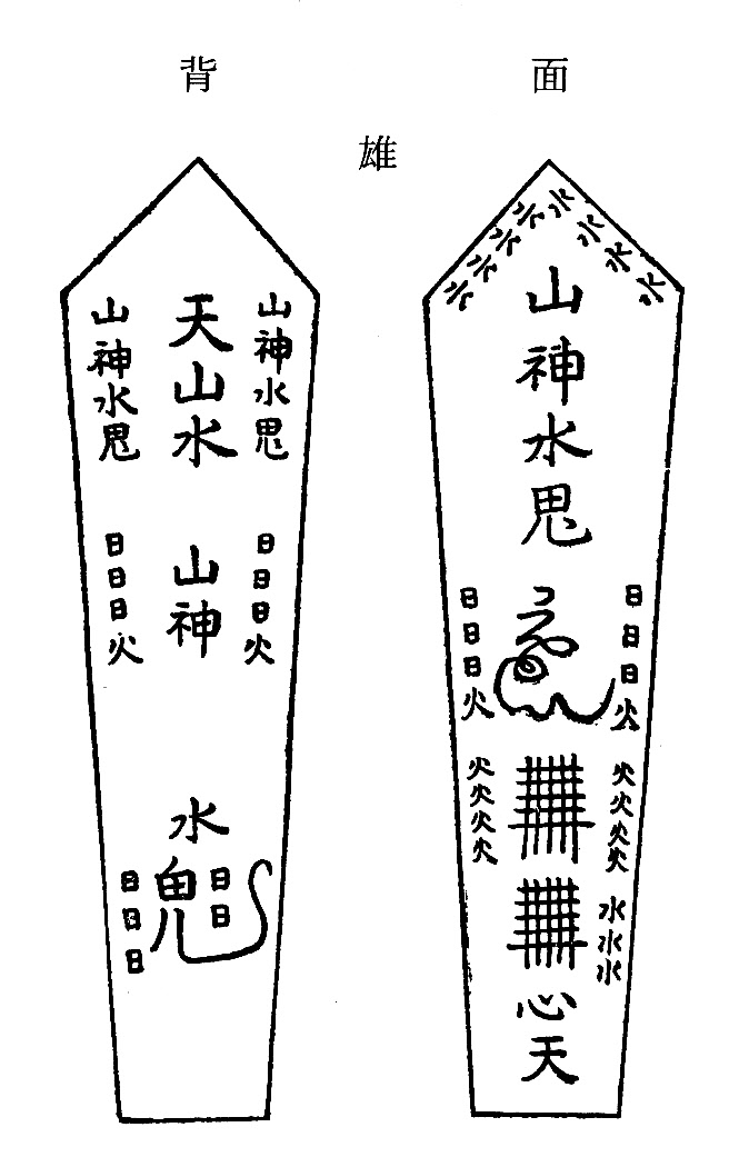 木剣背面（雄）