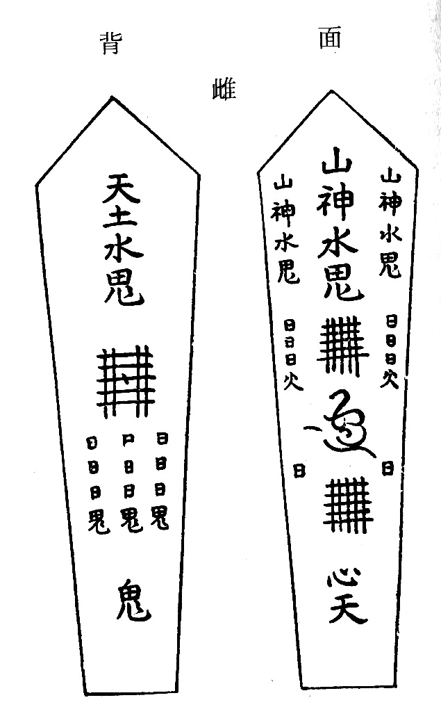 木剣背面（雌）