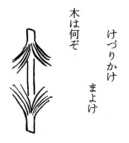 けずりかけまよけ