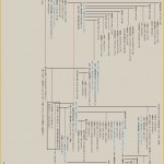 ���V�c�̌n���E�Q